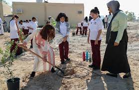 QF students plant olive trees in support for Palestine